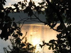 1015205_10100186132791139_1406764331_o